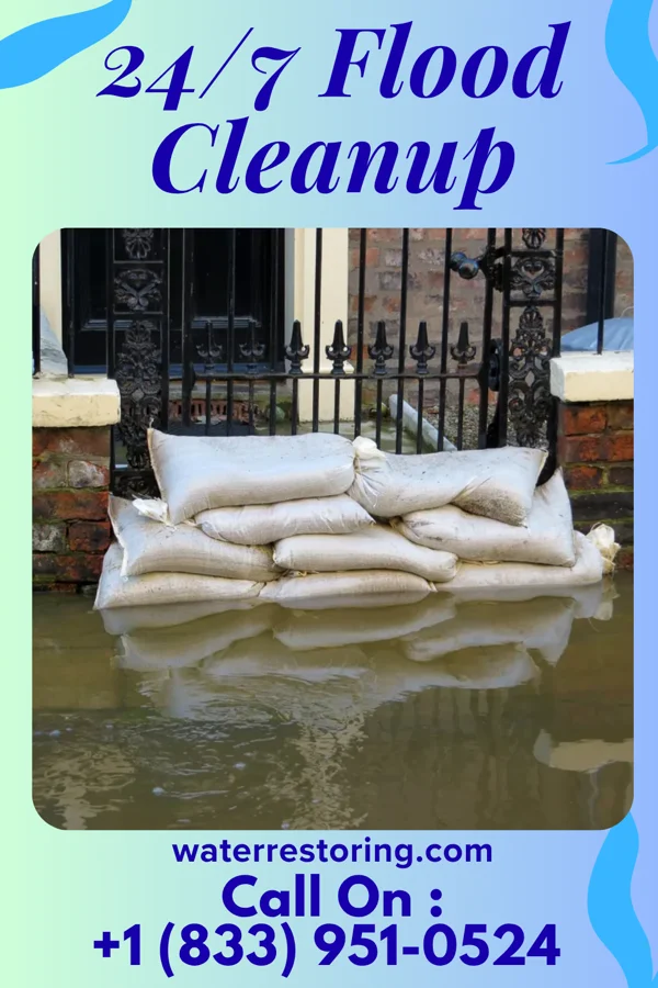 24/7 Flood Cleanup in Pueblitos, NM