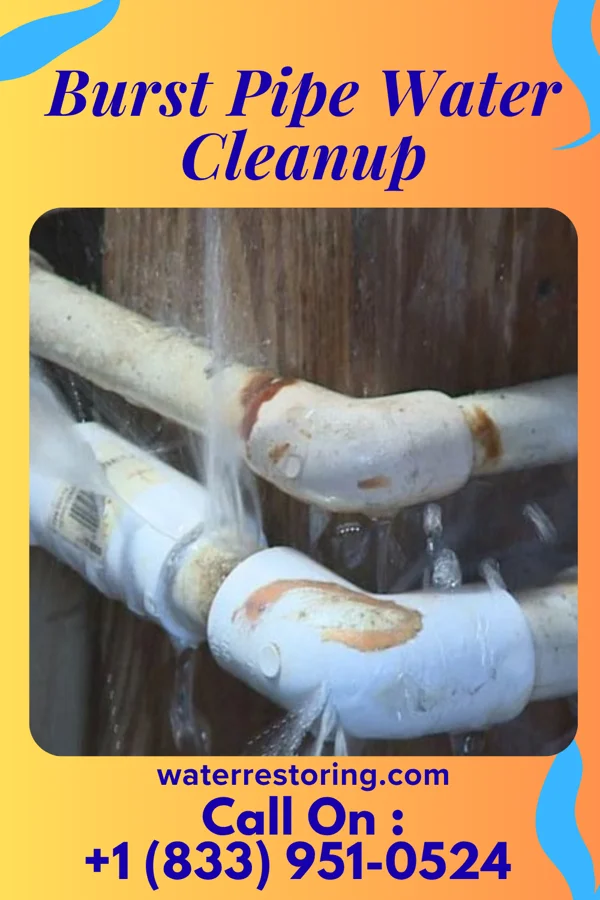 Burst Pipe Water Cleanup in Pueblitos, NM