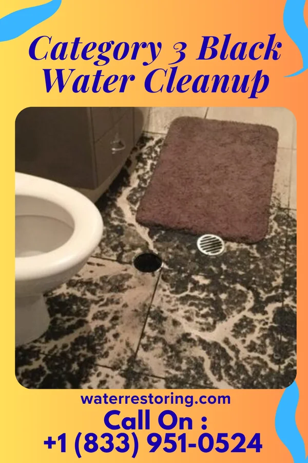 Category 3 Black Water Cleanup in Pueblitos, NM