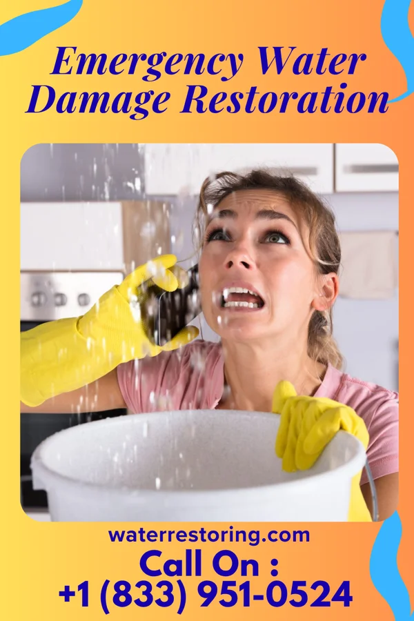 Emergency Water Damage Restoration in Pueblitos, NM