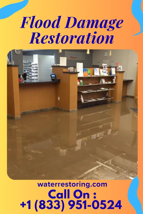 Flood Damage Restoration in Pueblitos, NM