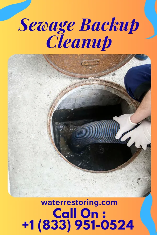 Sewage Backup Cleanup in Pueblitos, NM