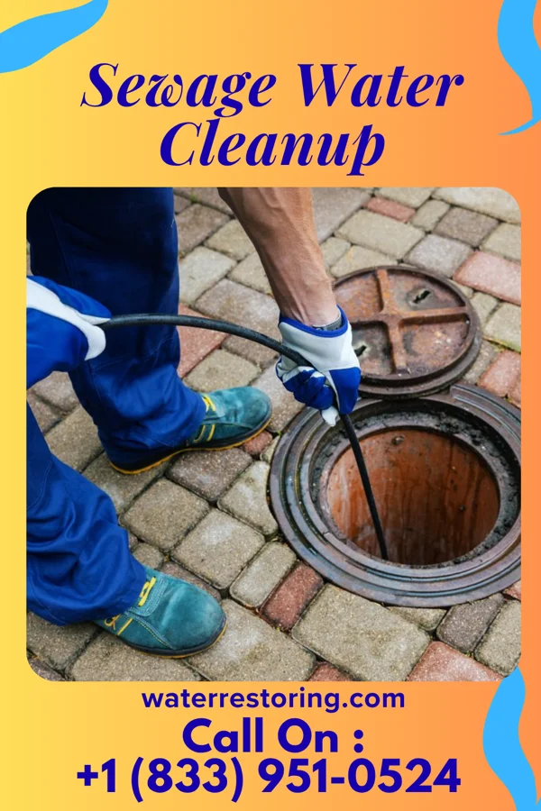 Sewage Water Cleanup in Pueblitos, NM